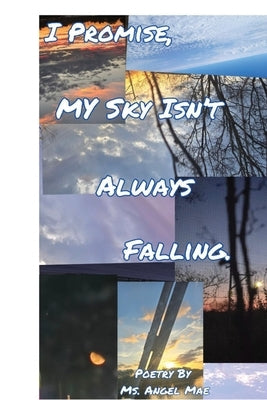 I Promise My Sky Isn't Always Falling by Mae, Angel