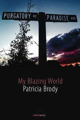 My Blazing World by Brody, Patricia