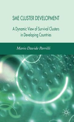 Sme Cluster Development: A Dynamic View of Survival Clusters in Developing Countries by Parrilli, M.