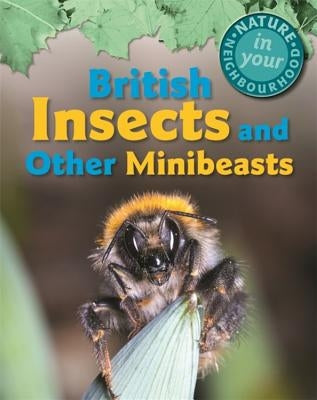 Nature in Your Neighbourhood: British Insects and Other Minibeasts by Collinson, Clare