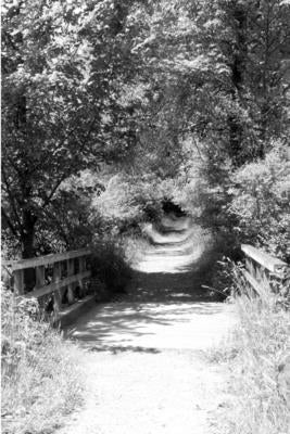 bridges by Montalbano, M.
