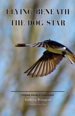 Flying Beneath the Dog Star: Poems from a Pandemic by Winograd, Kathryn