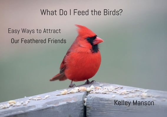 What Do I Feed the Birds? by Manson, Kelley