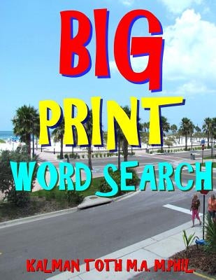 Big Print Word Search: 133 Entertaining Themed Puzzles by Toth M. a. M. Phil, Kalman