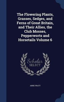 The Flowering Plants, Grasses, Sedges, and Ferns of Great Britain, and Their Allies, the Club Mosses, Pepperworts and Horsetails Volume 6 by Pratt, Anne