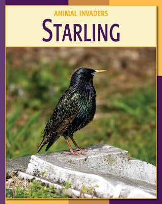 Starling by Gray, Susan H.