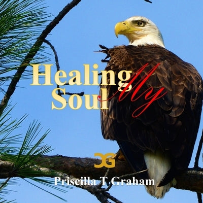 Healing My Soul by Graham, Priscilla T.