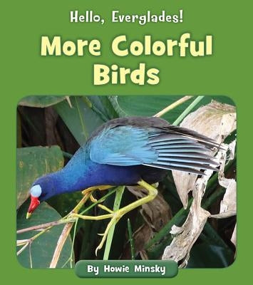 More Colorful Birds by Minsky, Howie