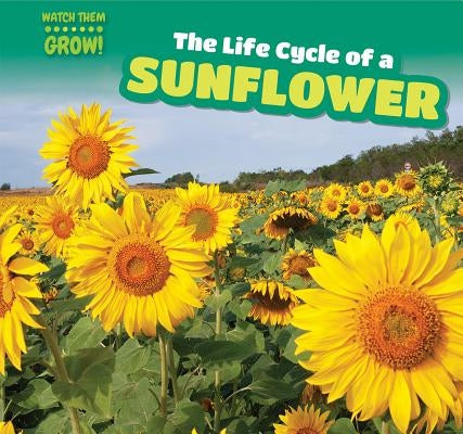 The Life Cycle of a Sunflower by Phelps, Bonnie