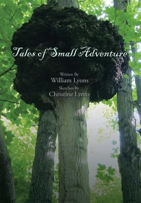 Tales of Small Adventure by Lyons, William