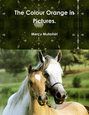 The Colour Orange in Pictures. by Mutamiri, Mercy