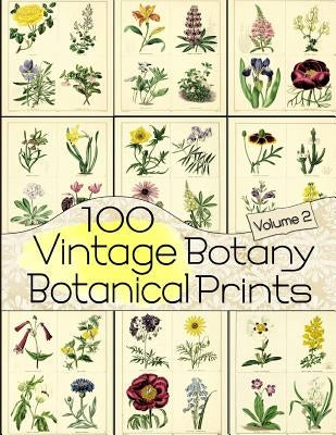 100 Vintage Botany Botanical Prints Volume 2 by Anders, C.