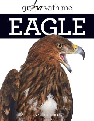 Eagle by Bodden, Valerie