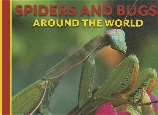 Spiders and Bugs Around the World by Martin, Claudia