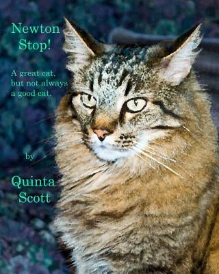 Newton Stop! by Scott, Quinta