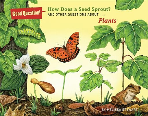 How Does a Seed Sprout?: And Other Questions about Plants by Stewart, Melissa