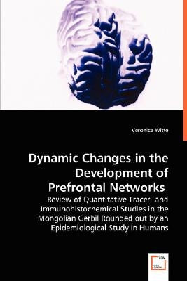 Dynamic Changes in the Development of Prefrontal Networks by Witte, Veronica