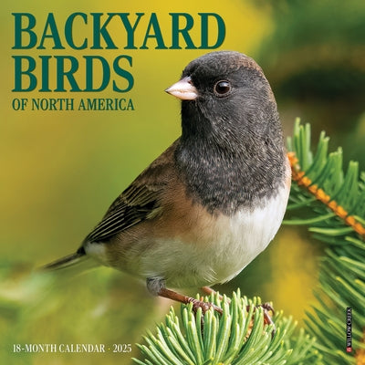 Backyard Birds 2025 7 X 7 Mini Wall Calendar by Willow Creek Press