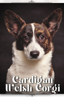 Cardigan Welsh Corgi: Dog breed overview and guide by Pustova, Nina