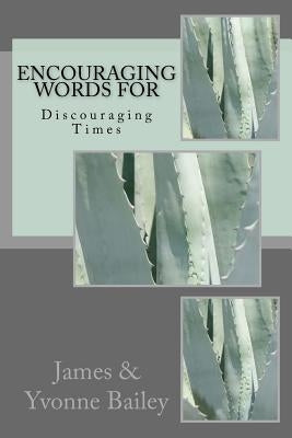 Encouraging Words for Discouraging Times by Bailey, James