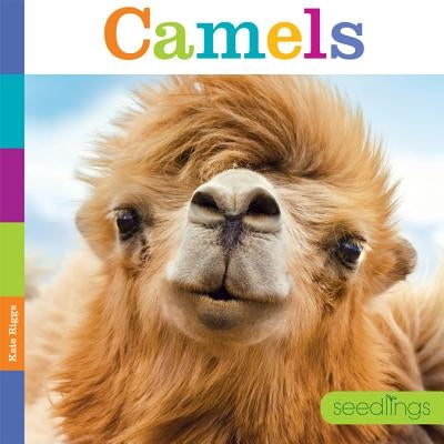 Seedlings: Camels by Riggs, Kate