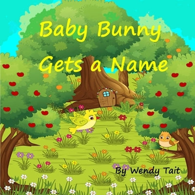 Baby Bunny Gets a Name by Tait, Wendy