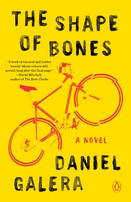 The Shape of Bones by Galera, Daniel