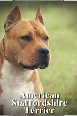 American Staffordshire Terrier: How to train your dog and raise from puppy correctly by Pustova, Nina