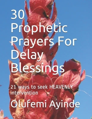 30 Prophetic Prayers For Delay Blessings: 21 ways to seek HEAVENLY intervention in THE BIBLE by Ayinde, Olufemi