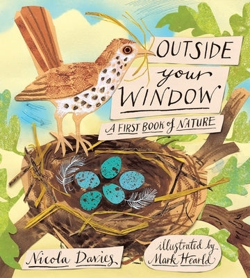 Outside Your Window: A First Book of Nature by Davies, Nicola