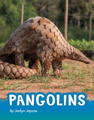 Pangolins by Jaycox, Jaclyn