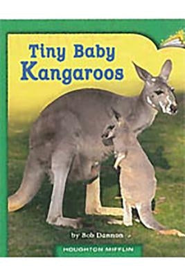 Tiny Baby Kangaroos: Individual Titles Set (6 Copies Each) Level I by Reading