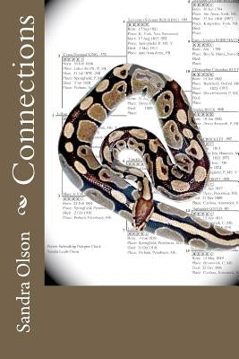 Connections by Olson, Sandra L.