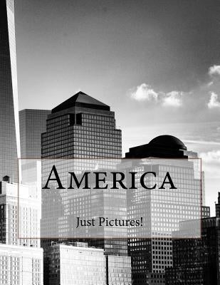 America by Pictures!, Just