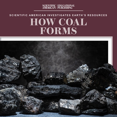 How Coal Forms by Quick, Megan