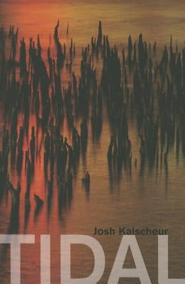 Tidal by Kalscheur, Josh