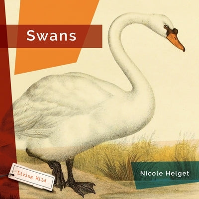 Swans by Helget, Nicole
