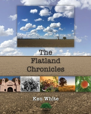 The Flatland Chronicles by White, Ken