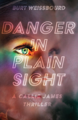 Danger in Plain Sight by Weissbourd, Burt