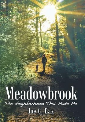 Meadowbrook: The Neighborhood That Made Me by Bax, Joe G.