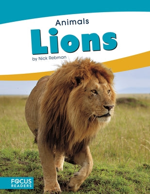 Lions by Rebman, Nick