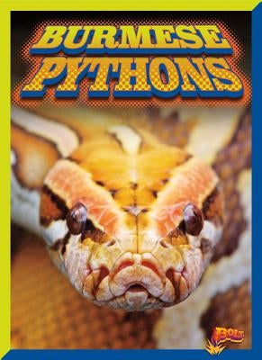 Burmese Pythons by Ciletti, Barbara