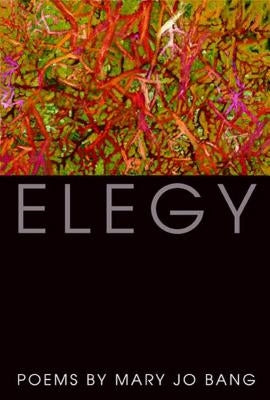 Elegy by Bang, Mary Jo