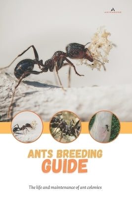 Ants breeding guide: The life and maintenance of ant colonies by Jackson, Tony D.