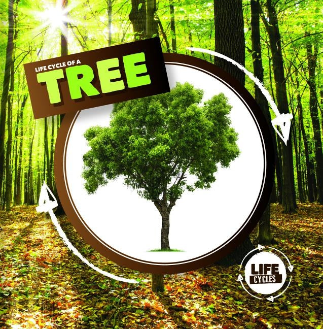 Life Cycle of a Tree by Holmes, Kirsty