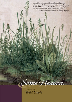 Some Heaven by Davis, Todd