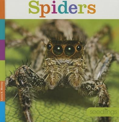 Spiders by Murray, Laura K.