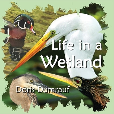 Life In A Wetland by Dumrauf, Doris