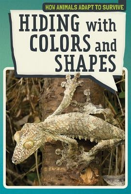 Hiding with Colors and Shapes by Shofner, Melissa Raé