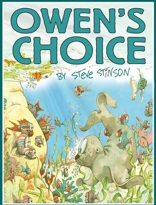 Owen's Choice by Stinson, Steve